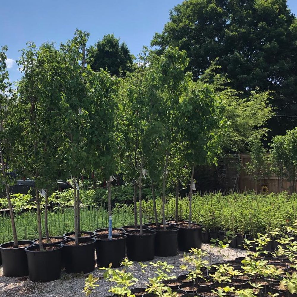 Hakkımızda Görseli