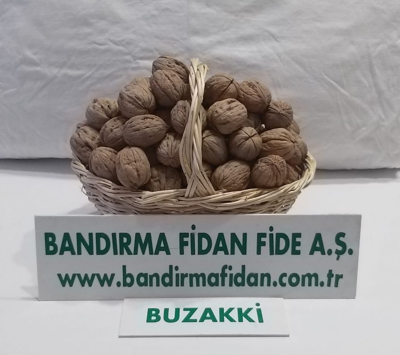 Buzsaki Kırmızı Cevizi