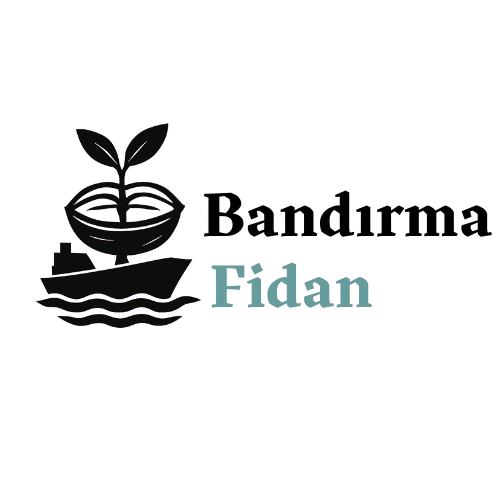 Bandırma Fidan Logo